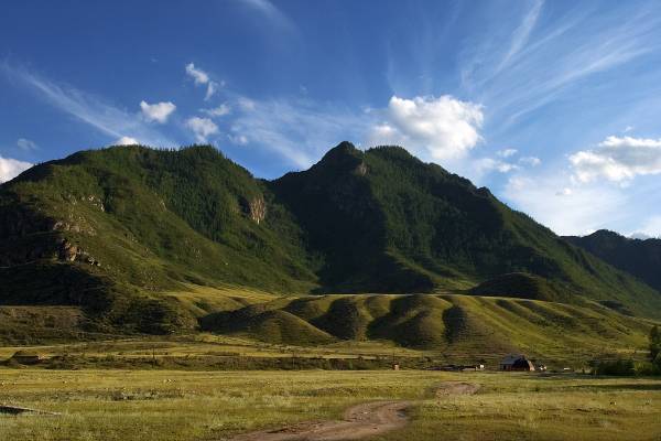 ��� ��� �����