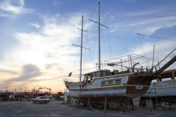 � �������