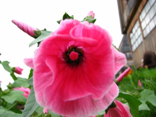 ����������