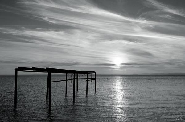 ������������� ����