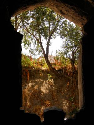 ���� � �������