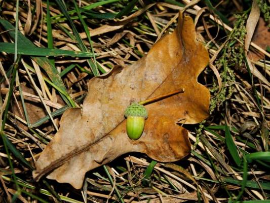 ���� � ����