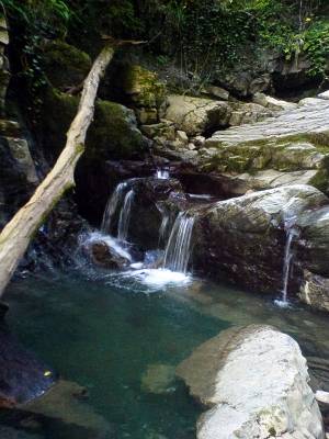 ����� ������ ���� 