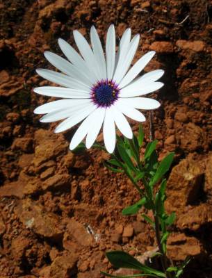 �������...