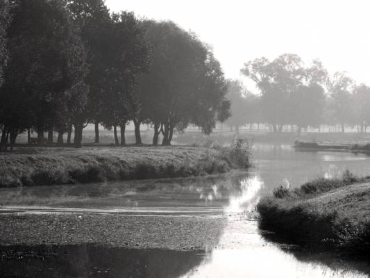 �������� ���������