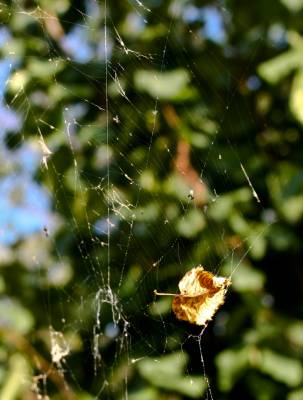 �������� ����� 2