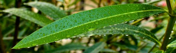 �������� � �������� �������