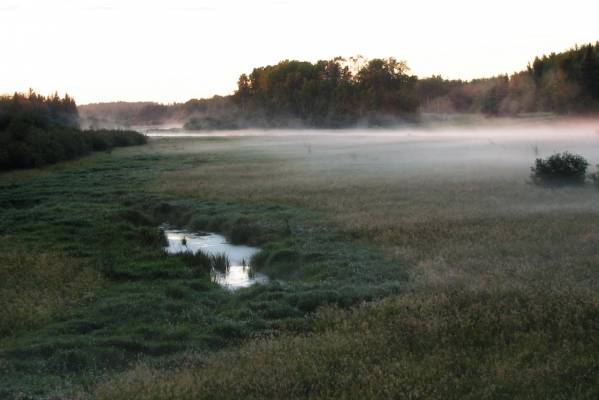 ����� ��� �����