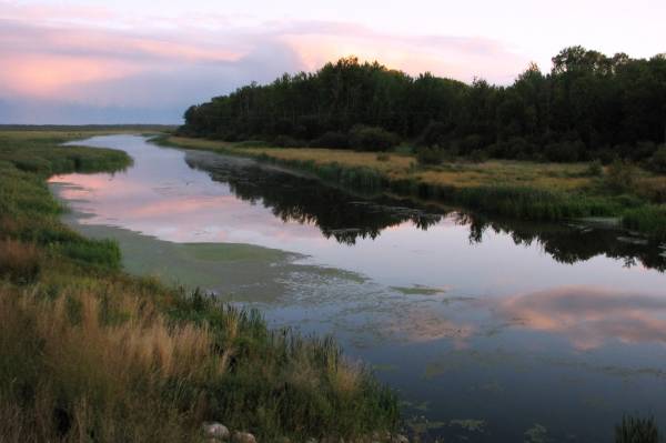 �������� ����