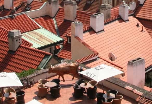 ��� ����