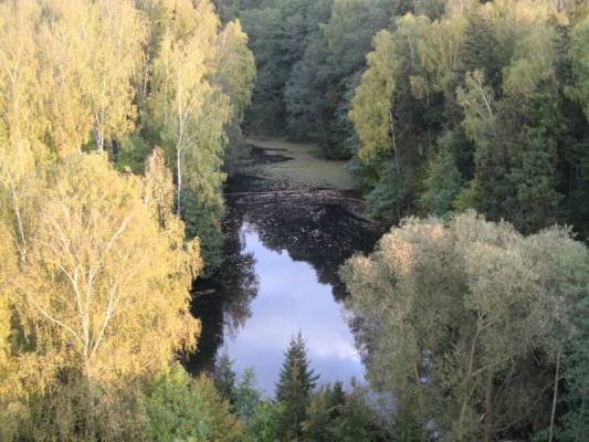 ������ �����