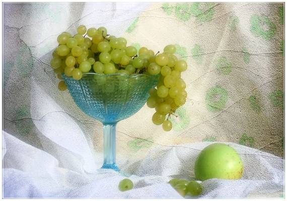 ����� ����-�������