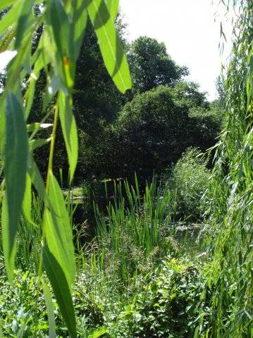 ������ ������ � �����