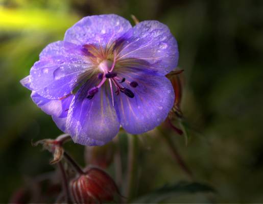 ..��������1.