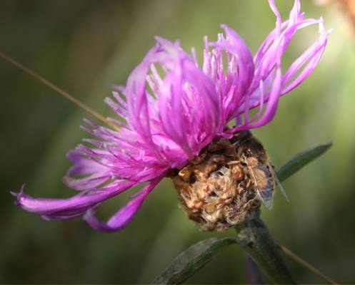 .....��������2....