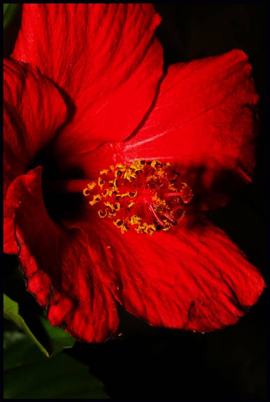 ��������� �������..:))