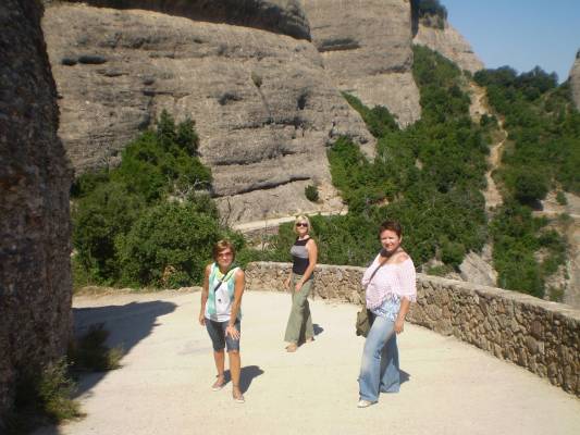 �������2008