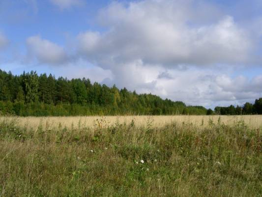 ����������� �������� ������� � ����� �����