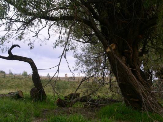 � ������ ������� ����� �������� ���������� � ������