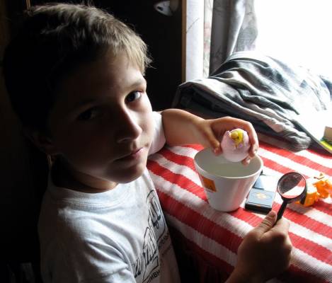 ���������