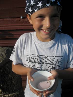 �����������