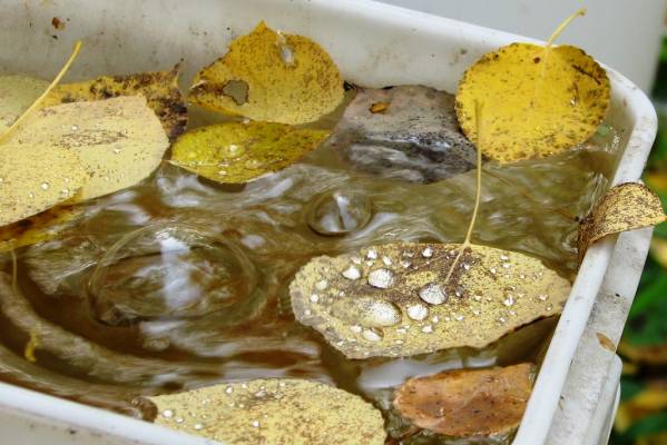 ��������� ������ � �����