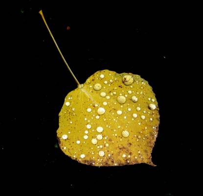 O������� ���� 3