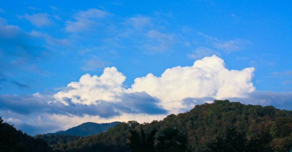 ����� �������� 