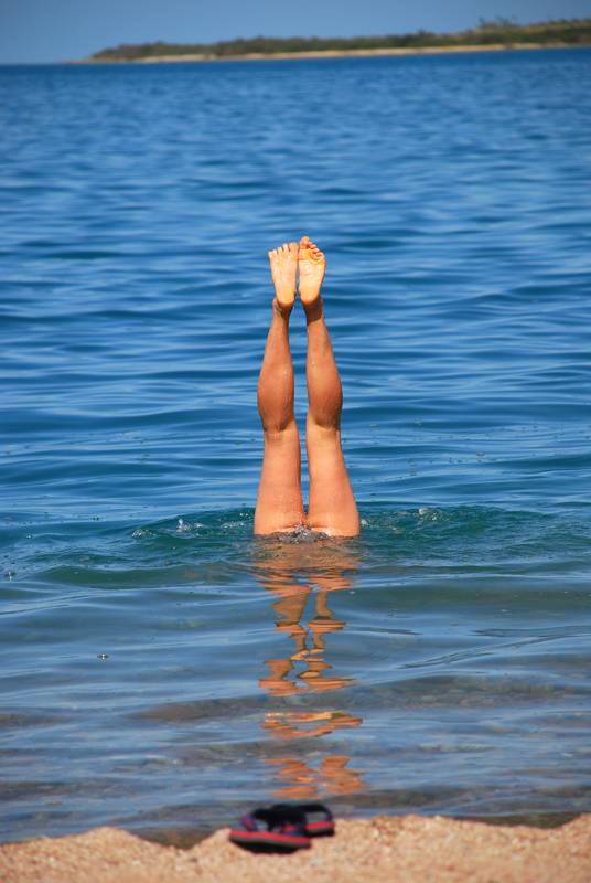 ��� ������� ������ �� ������