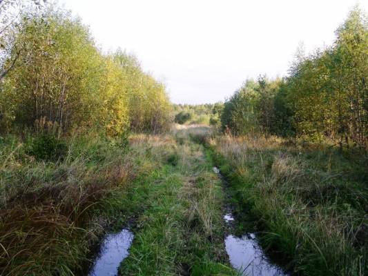 ������� � ������� ����� (������ ������, ����������� �������� �����)