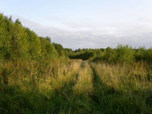 ��� ����� ����� �� �����, ������ �������� �����