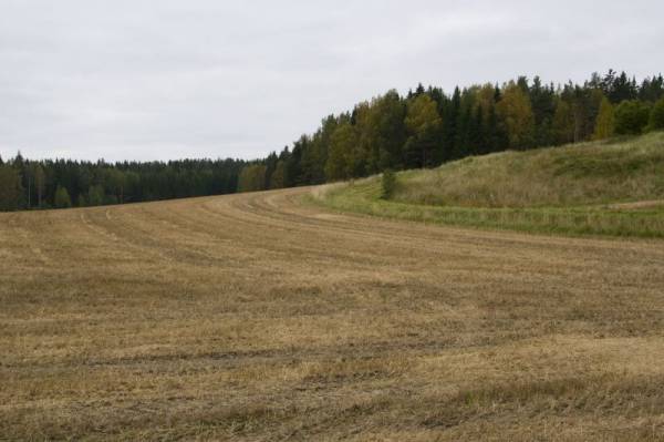 ������� ������