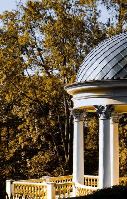 ������� ������ 