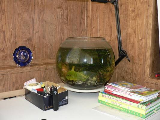 ��������