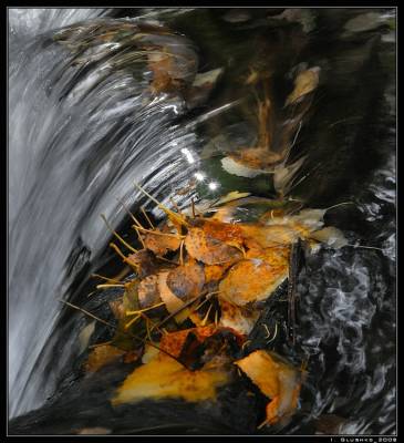 ..� ����� ��������� �����������...