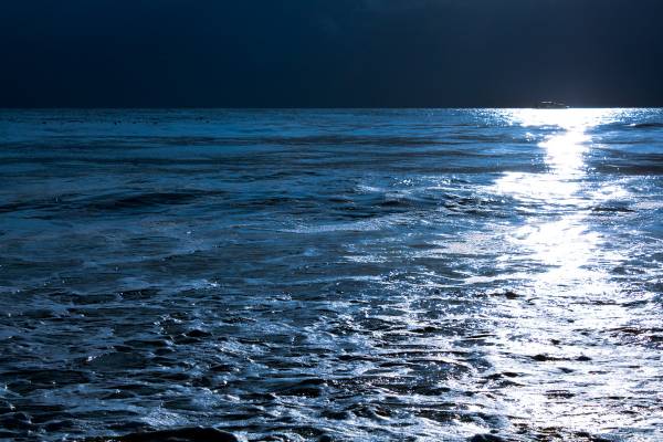 � ����� ���� 