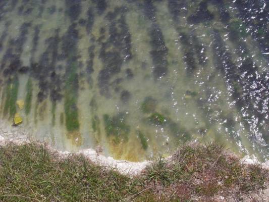 ������� ��������