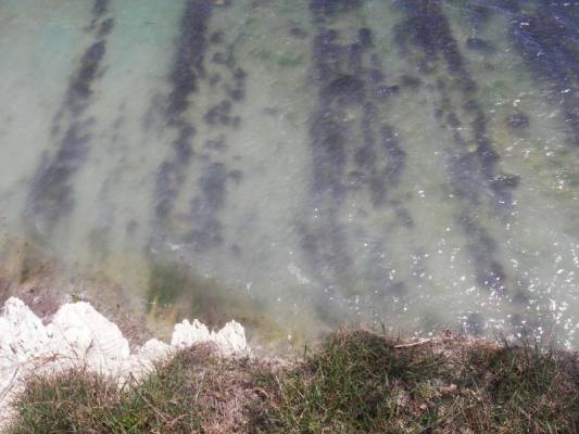 ������� ��������