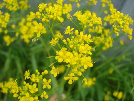 ������������