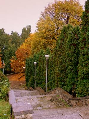 ������ � �����