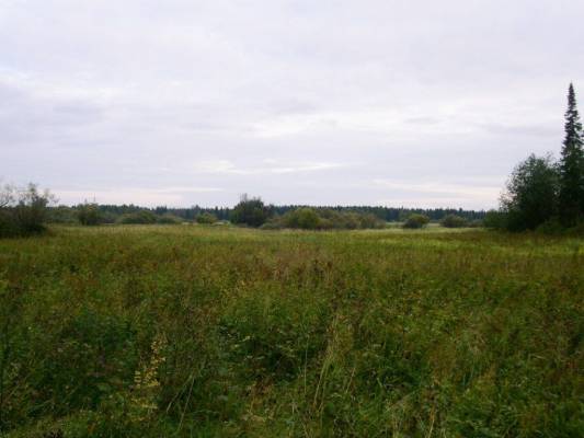 �� �������. ������ ����� � �������