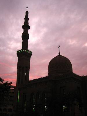 ���� - ������ 