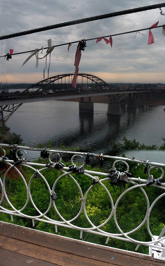 ���� ���������.