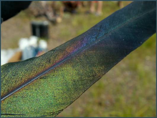 ������� ����