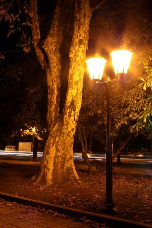 ������ � ������� 