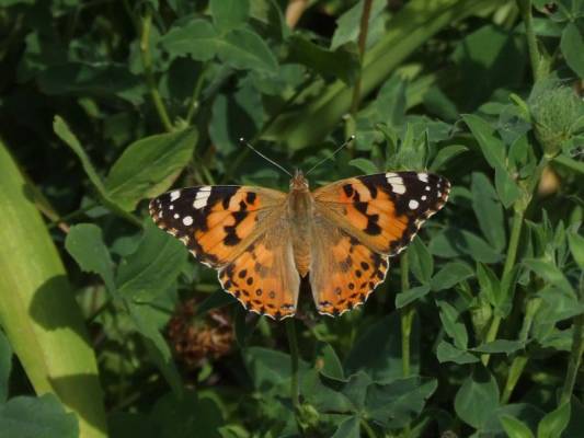 �������