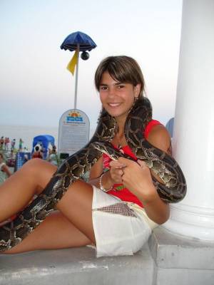 ���� �������