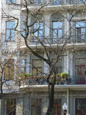 ��� ������