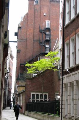 � �������� ��������