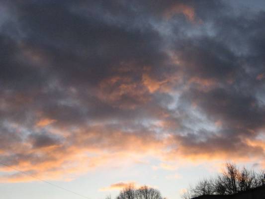 ��� ������